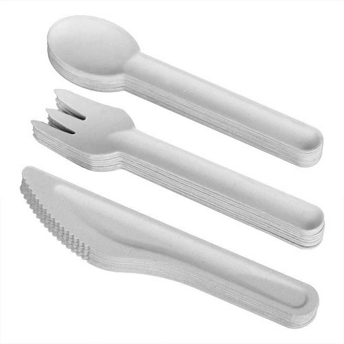 White bagasse cutlery set - bagasse,