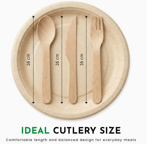 300piece wooden disposable - 300piece,